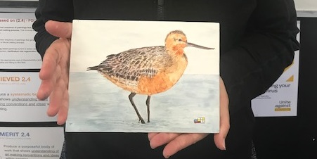 Bird Illustration Student Artwork