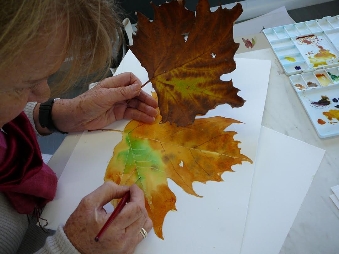 Botanical Painting
