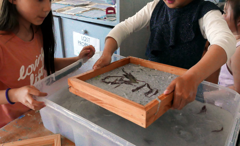 Making Paper for Children 7 - 12 Years