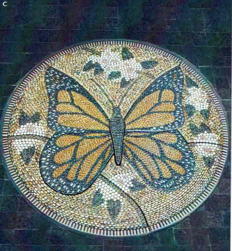 John Botica Monarch Butterfly