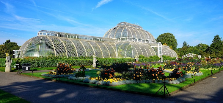 Palm house